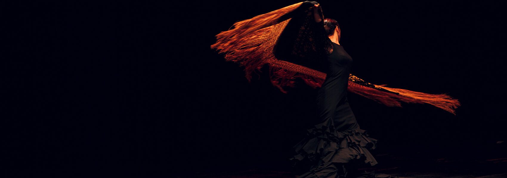 Spectacle de flamenco en Andalousie