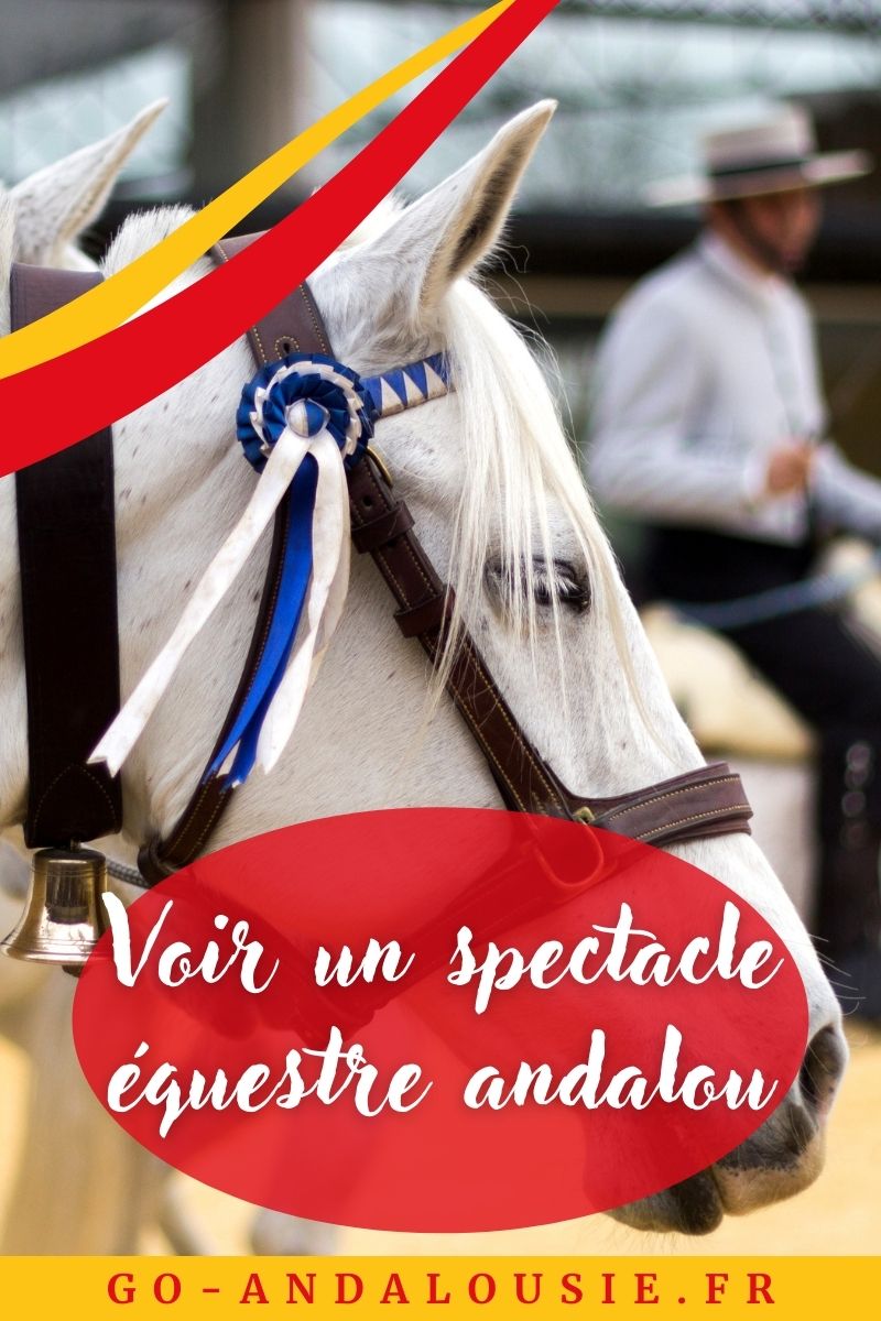 Veste de spectacle d'équitation de qualité supérieure veste de spectacle équestr